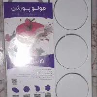 قالب مونوپورشن دایره