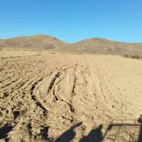 فروش زمین کشاورزی|فروش دفتر صنعتی، کشاورزی، تجاری|ماکو, |دیوار