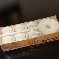 فنجان و نعلبکی ارکوپال ویکتوریا اصل فرانسه