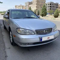 ماکسیما ۸۵ عروسک