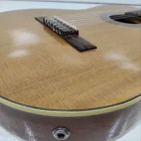 گیتار گیبسون کلاسیک تین بادی پیکاپدار|گیتار، بیس، امپلیفایر|تهران, استقلال|دیوار