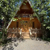 اجاره ویلا کلبه سوئیسی جنگلی