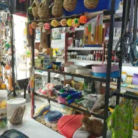 فروش کلی لوازم پت شاپ با دلار صدتومن.فقط کلی