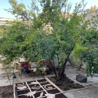 خونه ویلایی باغچه سنتی|اجارهٔ خانه و ویلا|رباط‌کریم, رباط‌کریم|دیوار