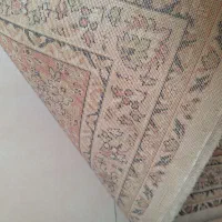 فرش ۱۲ متری زمینه کرم|فرش|جویبار, |دیوار