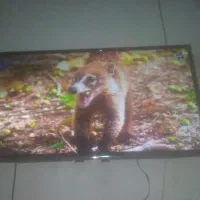 تلویزیون 43اینچ تی سی ال|تلویزیون و پروژکتور|خمام, |دیوار