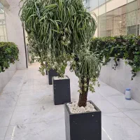 فروش فلاورباکس فایبرگلاس - گلدان فایبرگلاس|گل و گیاه طبیعی|تهران, نارمک|دیوار