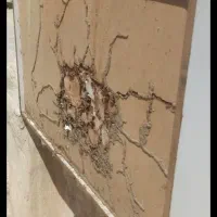 شرکت سم پاشی و موریانه زدایی (آسایش) با مجوز رسمی|خدمات نظافت|پلدختر, |دیوار