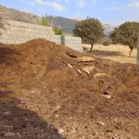 کود گوسفند مخصوص زمین کشاورزی و باغداری|گل و گیاه طبیعی|ایذه, |دیوار