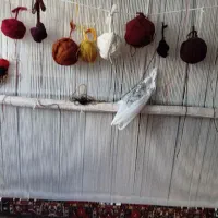 قالی نیمه بافت|فرش|شهرکرد, |دیوار