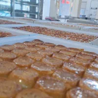 همکار در باقلوا استانبولی