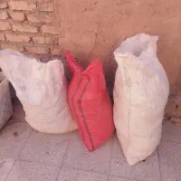 کود کفتر|گل و گیاه طبیعی|قوچان, |دیوار