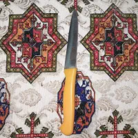 چاقو دسته ززد|ظروف پخت‌وپز|ماهدشت, |دیوار