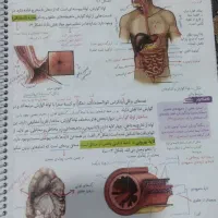 کتاب زیست و شیمی خیلی سبز دهم|کتاب و مجله آموزشی|مرودشت, علیآباد|دیوار