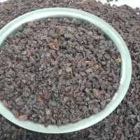 کشمش آفتابی سالم گوشتی|خوردنی و آشامیدنی|شهرکرد, |دیوار