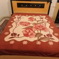 سو ی ت سوییت