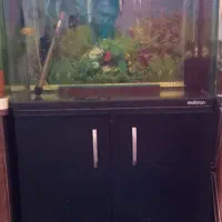 ۲ عدد آکواریوم با میز و ماهی ها|ماهی|تبریز, |دیوار