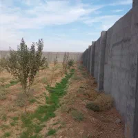 باغ دارای برق و اب