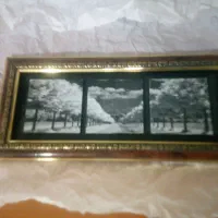 تابلو|تابلو، نقاشی، عکس|کرمان, |دیوار