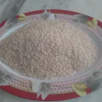 برنج هاشمی درجه یک