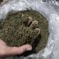 سبزی خشک قرمه سبزی درجه یک