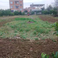 ۱۲۶۰ متر مربع زمین مسکونی