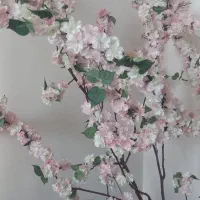 درخت زینتی|گل مصنوعی|تهران, نارمک|دیوار