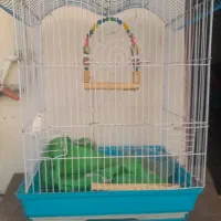 قفس پرنده