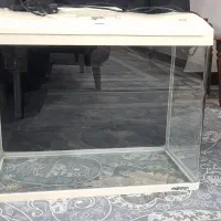 آکواریوم شیشه خم