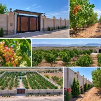 یک-انتخاب-سبز-برای-سرمایه-گذاری