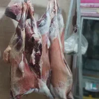 قصابی‌گوسفندی‌650