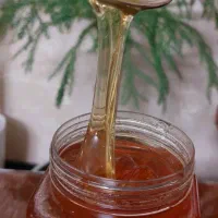 فروش عسل طبیعی(کوه پناه تفرش) به صورت عمده و جزئی|خوردنی و آشامیدنی|تفرش, |دیوار