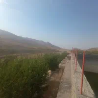 باغ ۵۰۰۰متری کرمجگان|فروش زمین و ملک کلنگی|قم, بکایی|دیوار