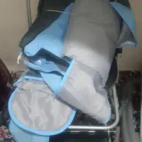 کالسکه و روروک