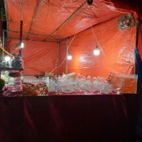 شیشه جای ماهی انواع سفرهفت سین ماهی