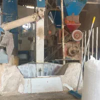 برنج چمپا