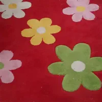 دو عدد قالیچه