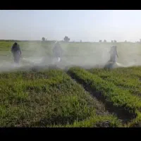 سمپاش گروه سمپاشی گروه سمپاش
