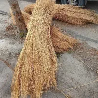 جارو سیخی