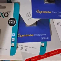 فلش بخر فیلم رایگان ببر جنس فلزی گارانتی دار