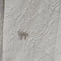 کت ترک|لباس|کرج, عظیمیه|دیوار