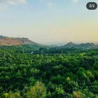 راهنمایی کلبه جنگلی میخایم