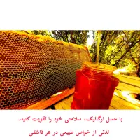 عسل چهل گیاه با نتیجه آزمایش پرولین و ساکارز|خوردنی و آشامیدنی|شیراز, ماه فیروزان|دیوار