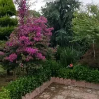 رهن-و-اجاره-سالن-دو-طبقه-حاشیه-باغرود
