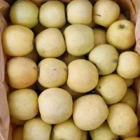 سیب قرمز و زرد