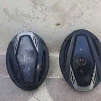 بلندگو بیضی مارشال