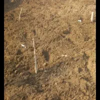 کار مزرعه  زیر درختان  و غیره