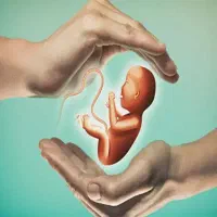 کارِدرمانی ویژه بانوان