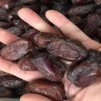 یک تن خرمای کلوته درجه یک