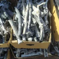 پخش زغال پسته|عمدهفروشی|تهران, ستارخان|دیوار